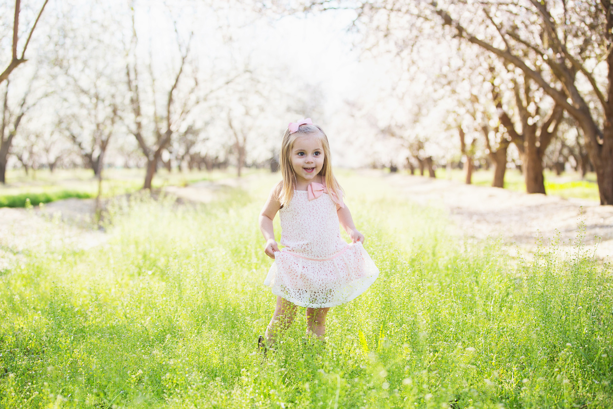 orchard blogged 2016 - 09