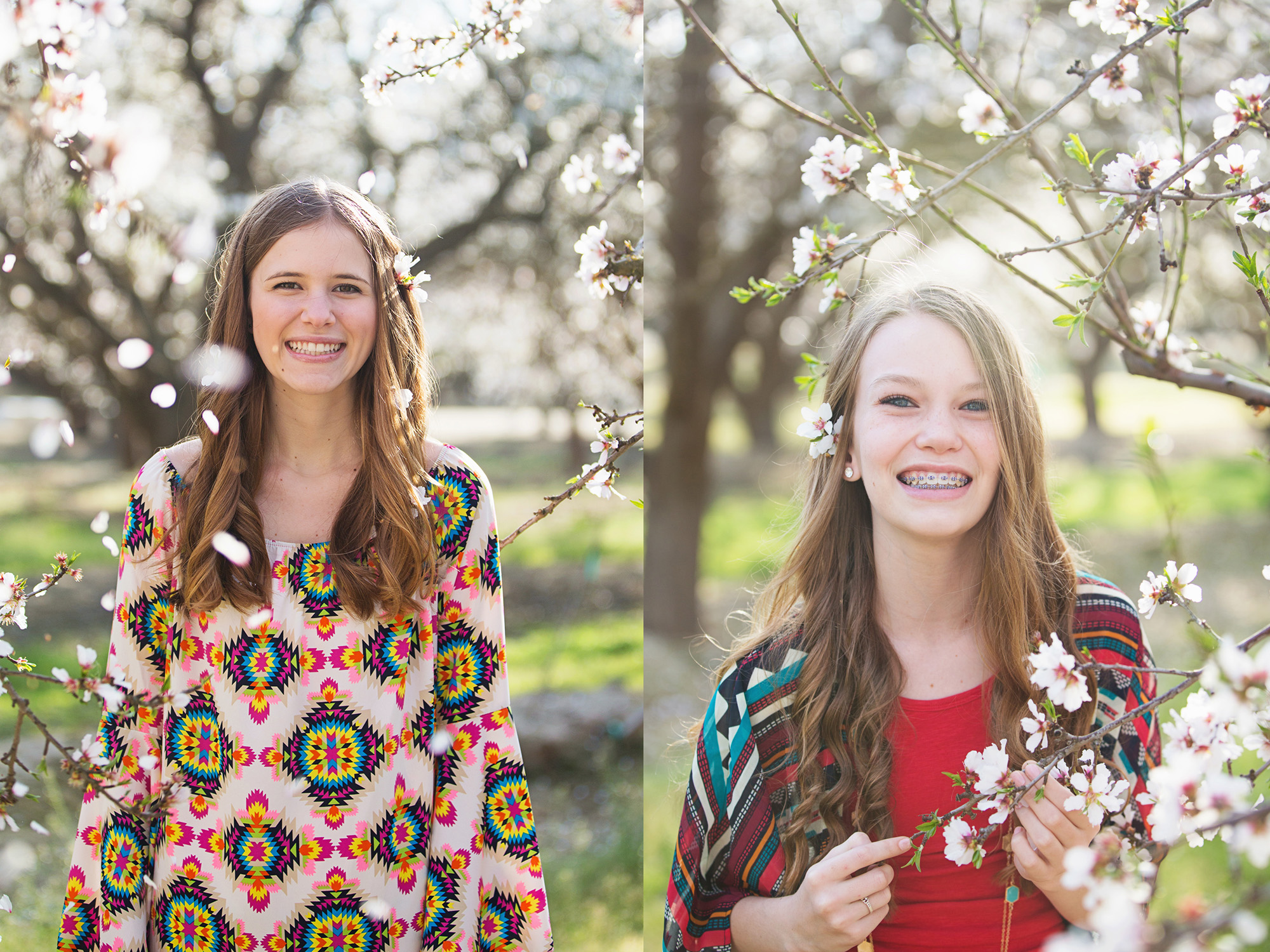 orchard blogged 2016 - 16
