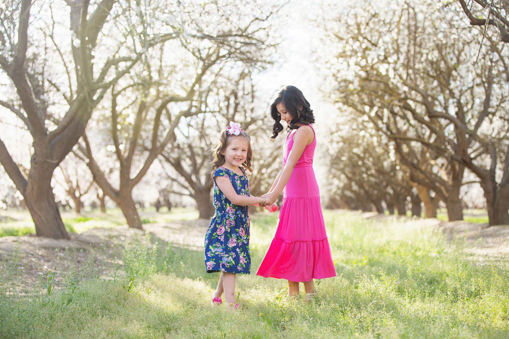 orchard blogged 2016 - 22