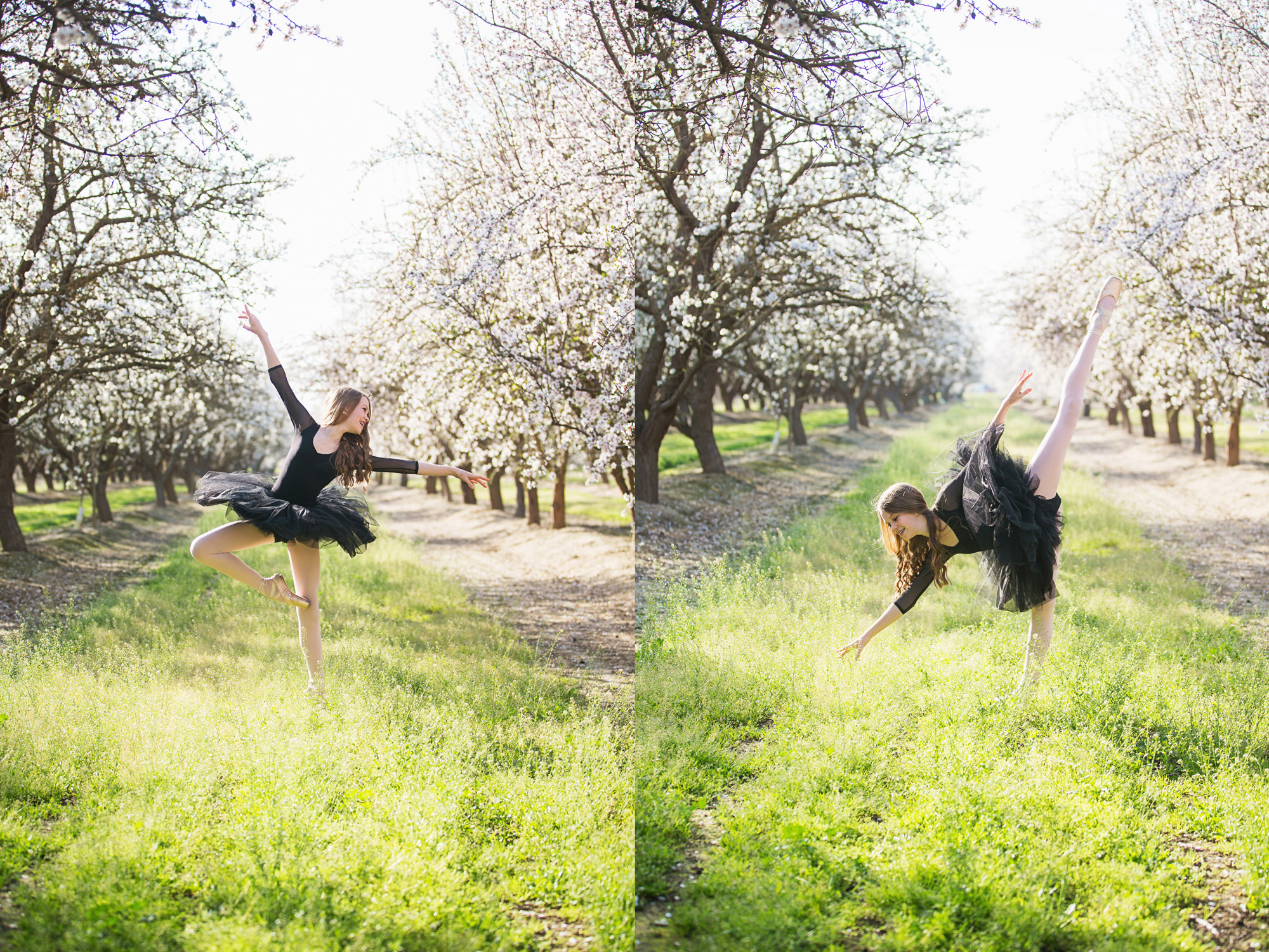 orchard blogged 2016 - 26